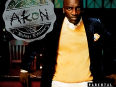 Akon - Sorry Blame It On Me