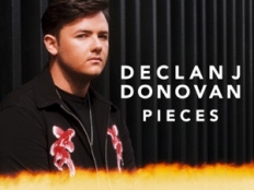 Declan J Donovan - Pieces