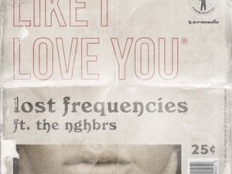 Lost Frequencies feat. The NGHBRS - Like I Love You