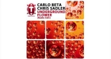 Underground Flower CARLO BETA & Chris Sadler