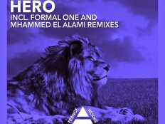FEEL & SARAH SHIELDS - HERO (Mhammed El Alami Remix)