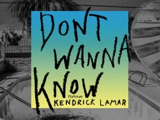 Maroon 5 - Don't Wanna Know