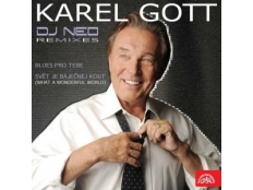 Karel Gott & DJ Neo - Blues Pro Tebe
