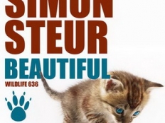 Simon Steur - Beautiful (Original Mix)