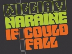 Willy William - If I Could Fall (Brockman & Basti M Remix)