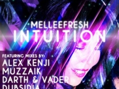 Melleefresh - Intuition (Muzzaik Mix)