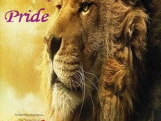 Mark Pride - Narnia 2011 (Radio Edit)