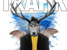 Trafik - The Difference (Paul Thomas Remix)