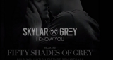 I Know You Skylar Grey 