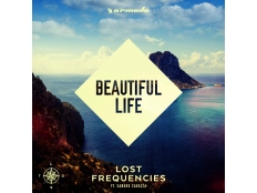 Lost Frequencies feat. Sandro Cavazza - Beautiful Life