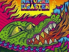 Laidback Luke vs. Example - Natural Disaster (Benny Benassi Remix)