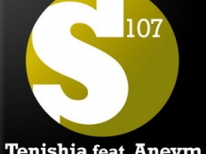 Tenishia feat. Aneym - Man In Denial (David Forbes Remix)