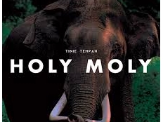 Tinie Tempah - Holy Moly