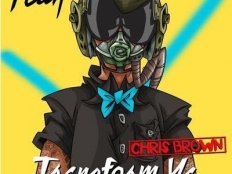 Chris Brown feat. Lil Wayne - I Can Transform Ya