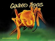 Guano Apes - open your eyes