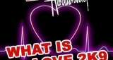 What Is Love 2k9 Klaas feat. Haddaway
