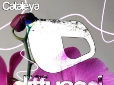 Andrew Bennett & Strobe - Cataleya (Original Mix)