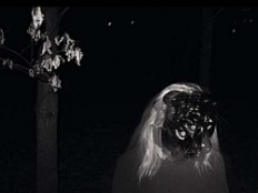 Sunshine - The Night is on Fire