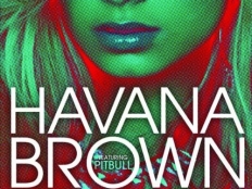 Havana Brown feat. Pitbull - We Run The Night