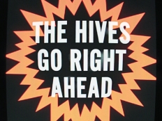 The Hives - Go Right Ahead