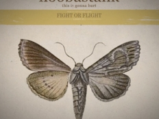 Hoobastank - This is Gonna Hurt