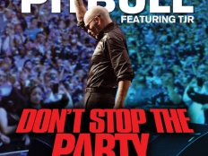 Pitbull - Don't Stop the Party