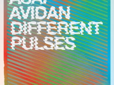 Asaf Avidan - Different Pulses