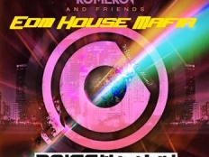 Nicky Romero & Noisecontrollers - ID (TBA)