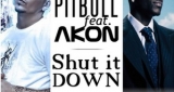 Shut It Down (Javi Mula Rmx) Pitbull feat. Akon