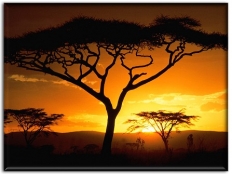 QuiQui - Music is What We Live For (Original Mix)