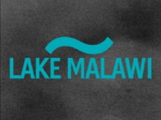 Lake Malawi - Young Blood