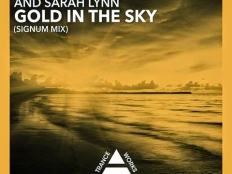 RON HAGEN & A.R.D.I. AND SARAH LYNN - GOLD IN THE SKY (Signum mix)