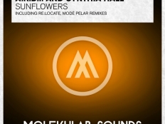 A.R.D.I. and CYNTHIA HALL - SUNFLOWERS