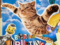 Bobina - FLYING KITTEN
