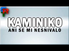 Kaminiko 2012 - Ani se mi nešnivalo