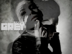 Skylar Grey - Dance Without You