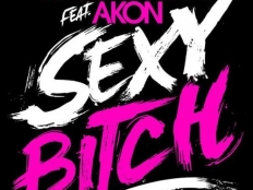 David Guetta feat. Akon - Sexy Bitch